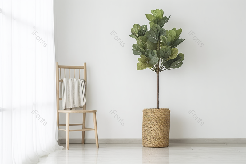 北欧家居现代简约风绿植椅子和白色的窗帘,高清,摄影图,摄影图片,图片大全,摄影图免费下载